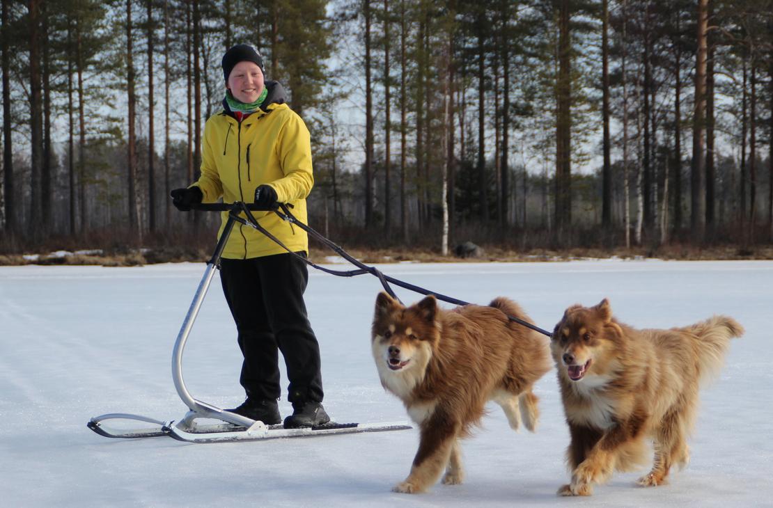 Potkurilla voi lenkitt&auml;&auml; my&ouml;s koiria