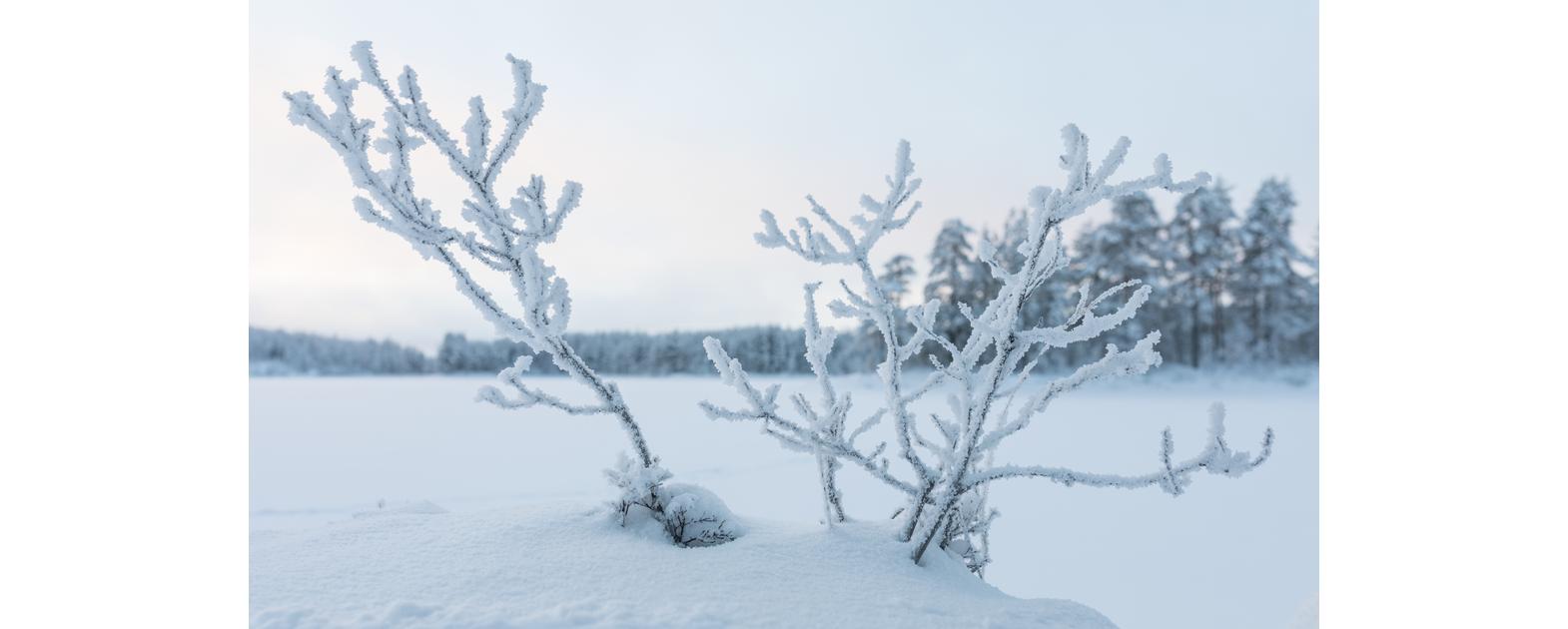 Petkeljärven kansallispuisto