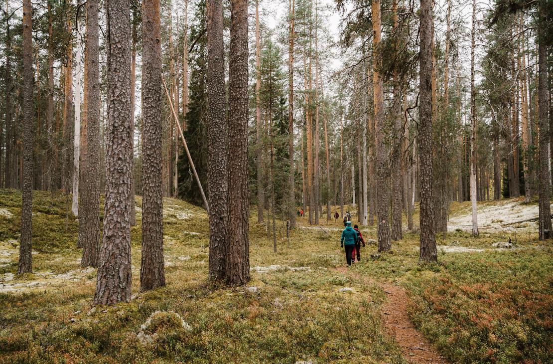 Petkelj&auml;rven kansallispuistossa on hienot vaellusmaastot