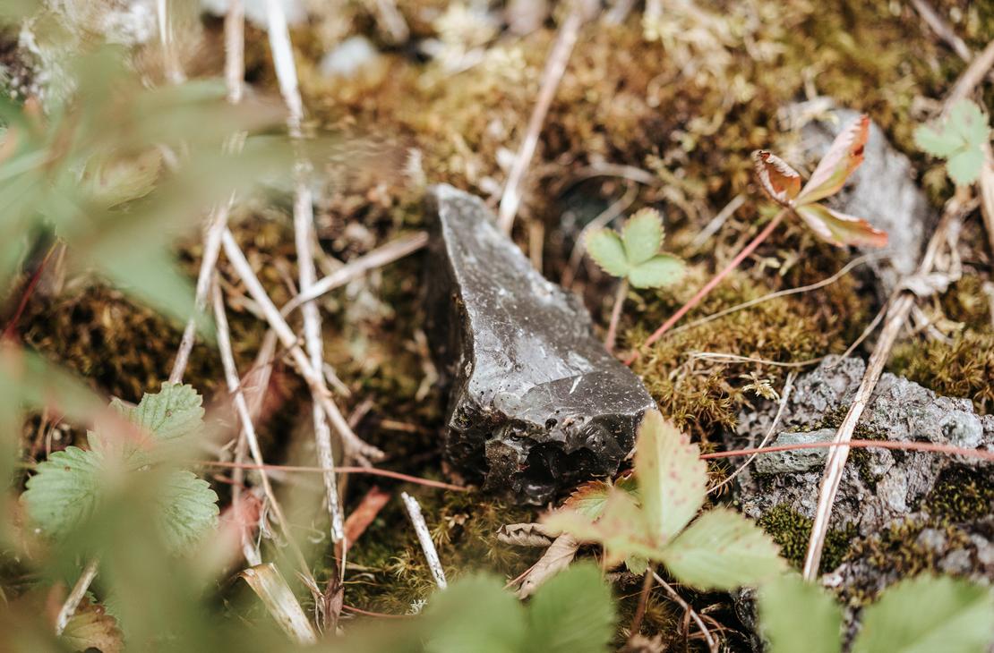 Luonto on t&auml;ynn&auml; aarteita