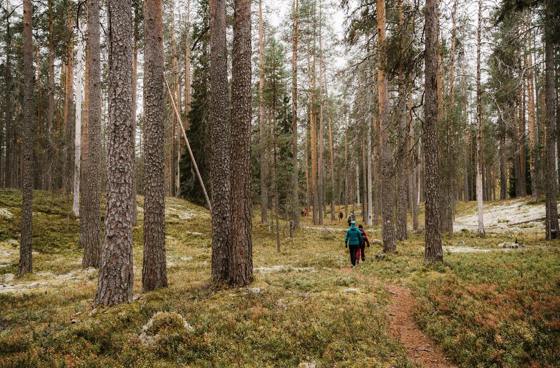 Petkelj&auml;rven kansallispuistossa on hienot vaellusmaastot