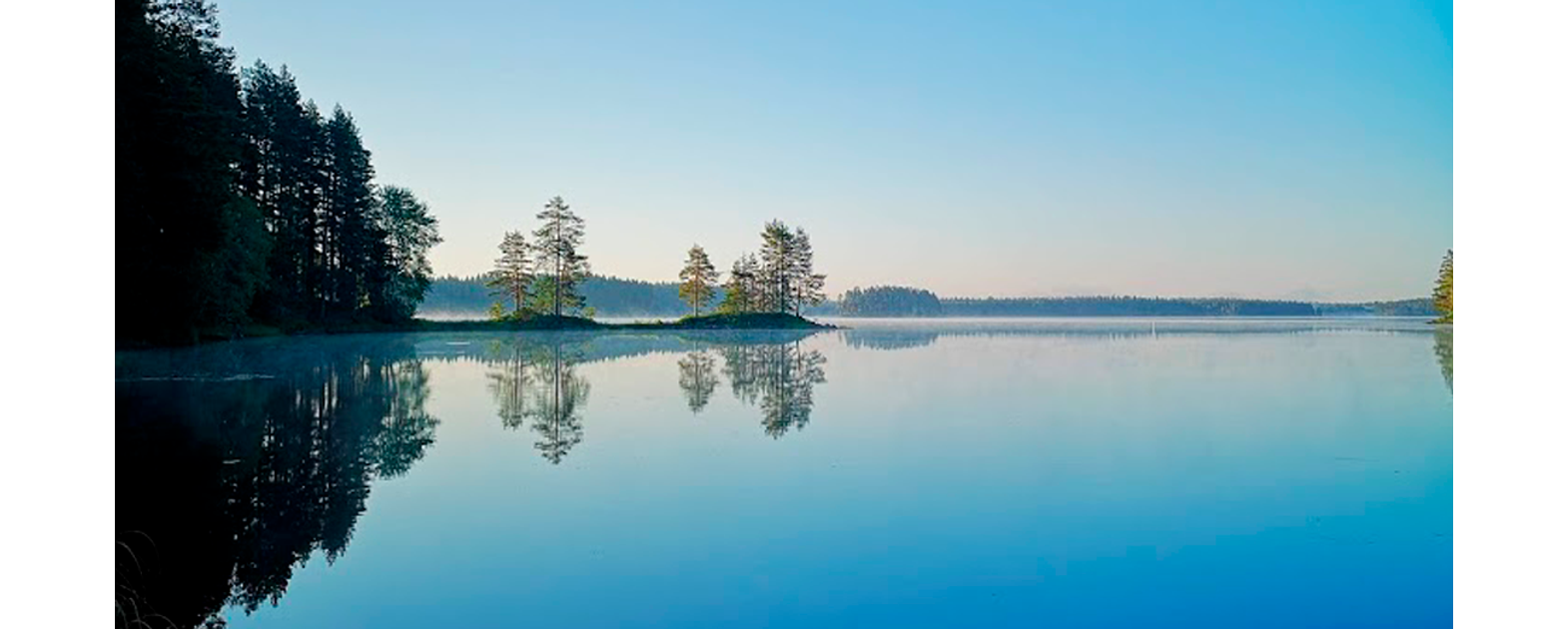 Sumuinen maisema Petkelj&auml;rven kansallispuistosta.