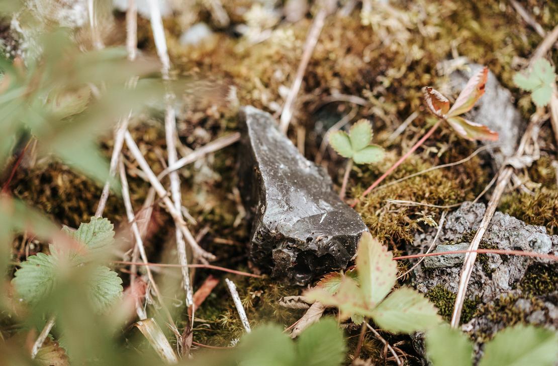 Luonto on t&auml;ynn&auml; aarteita