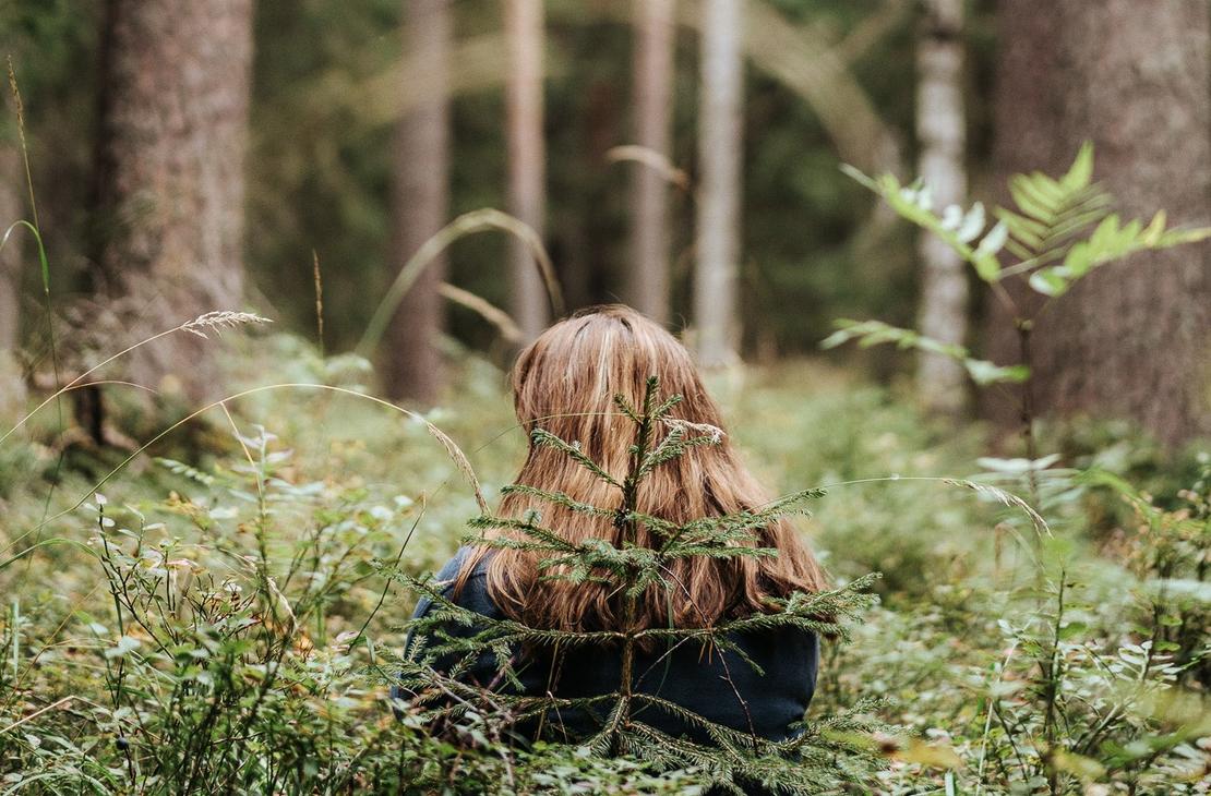 mets&auml;n syliss&auml;