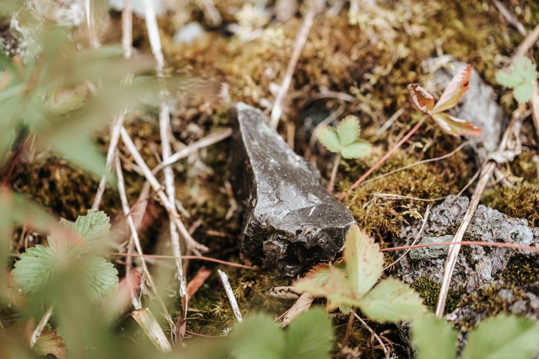 Die Natur ist voller Sch&auml;tze.