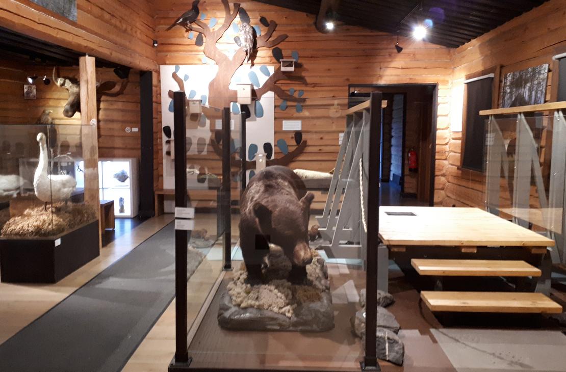 Luontopirtti Mesikk&auml;